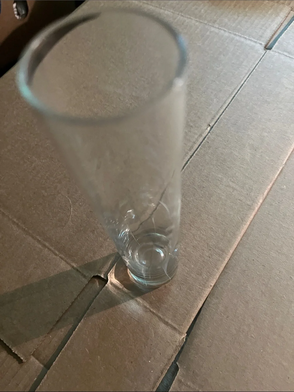 Clear Etched Glass Bud Vase - Home Accents 7 7/8 inch